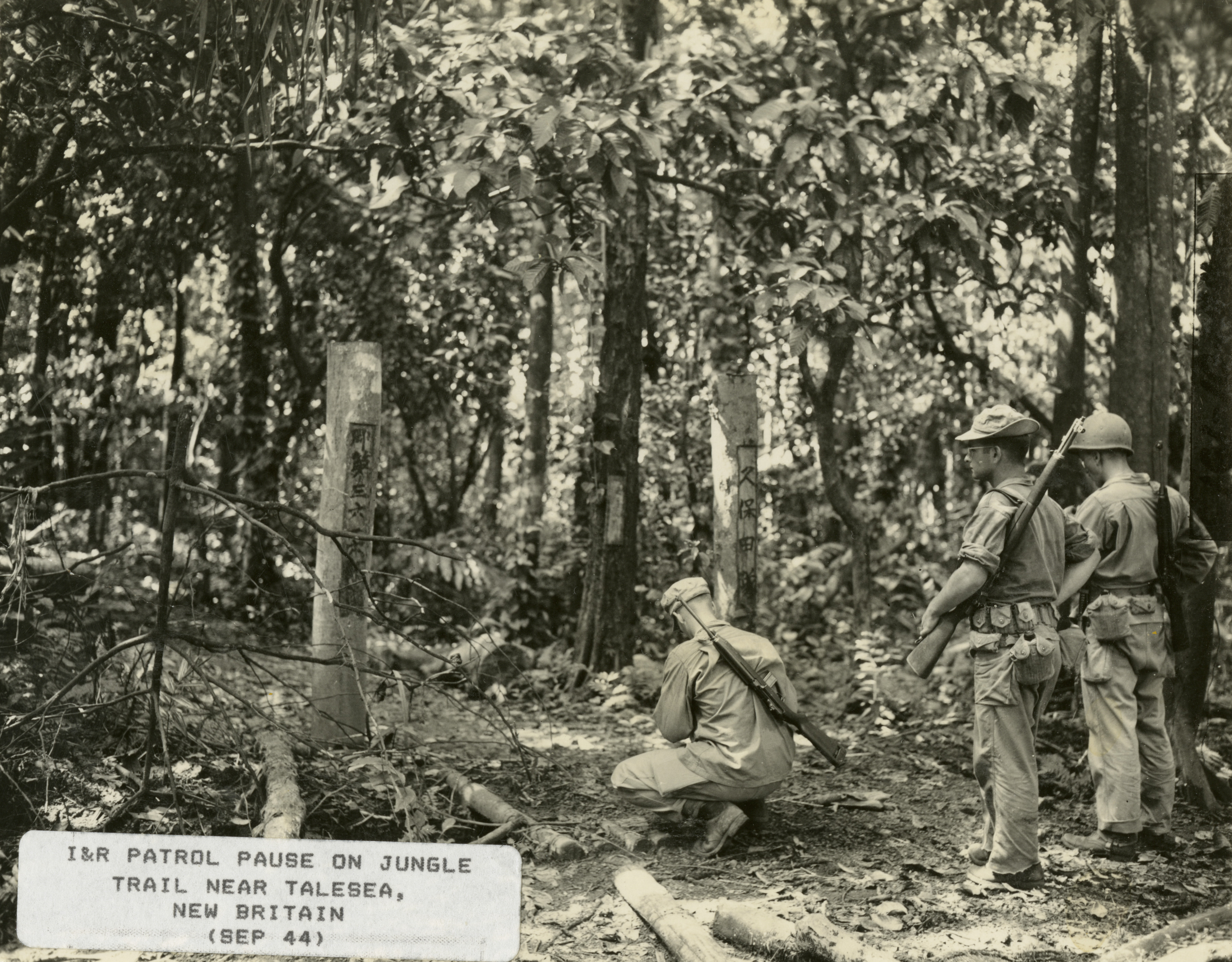 Soldiers Carrying M1 Garands Patrol A Jungle Trail Near Talasea New 