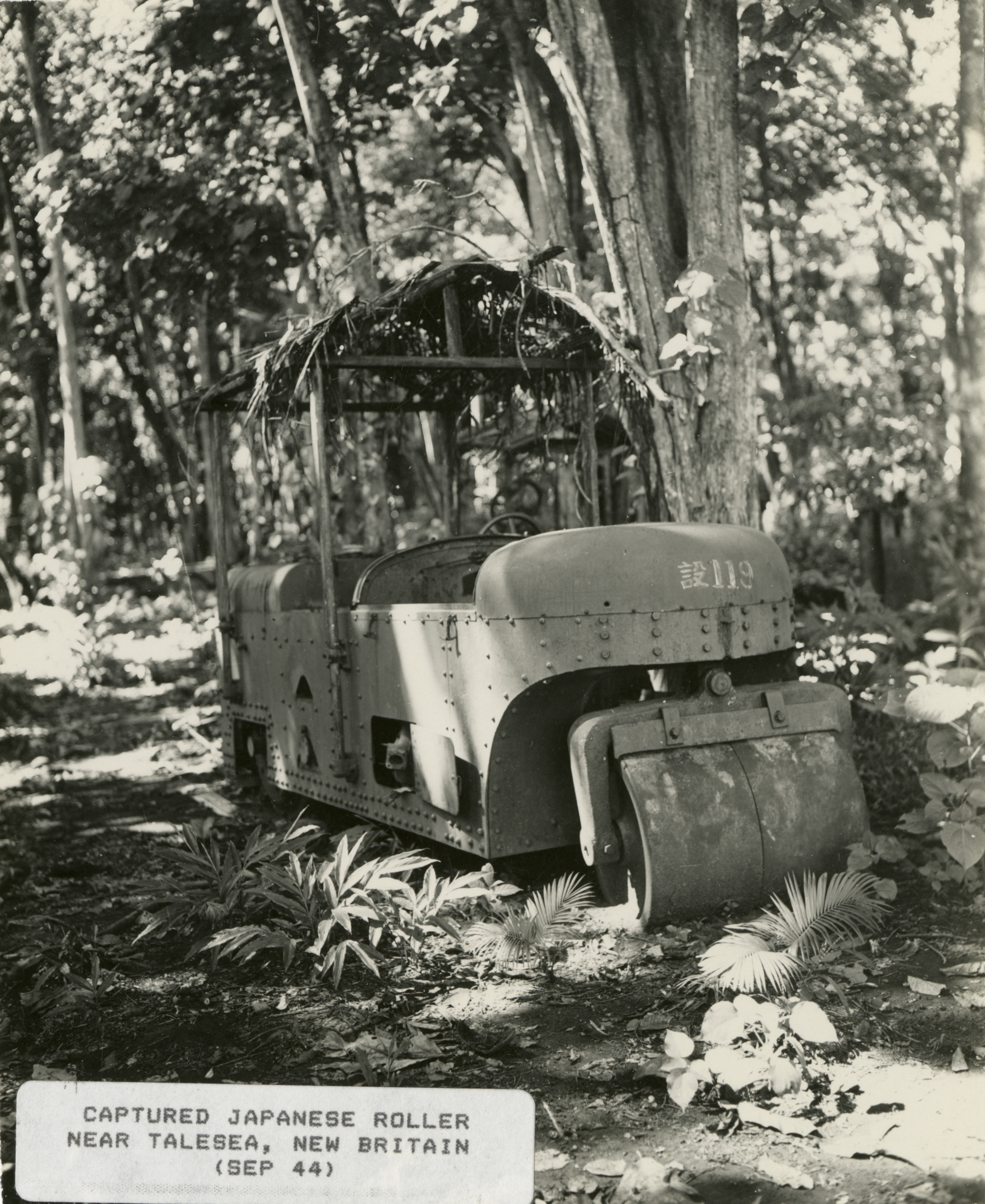 Japanese Construction Vehicle Covered With Palm Leaves At Talasea New 