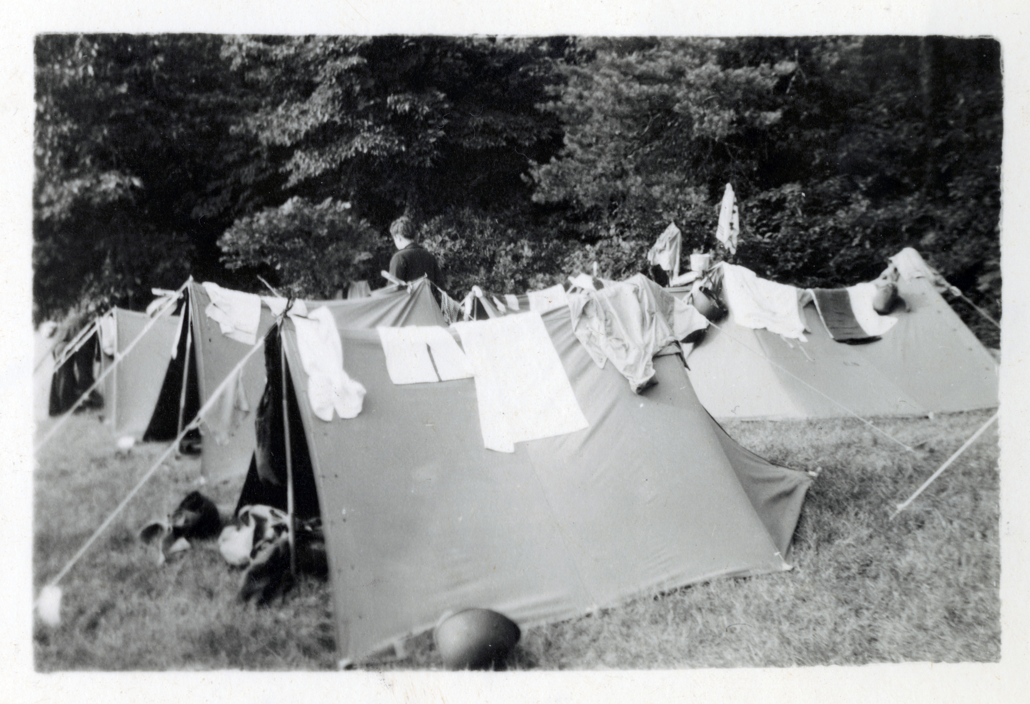 US tents in New Caledonia in 1944-45 | The Digital Collections of the National WWII Museum ...