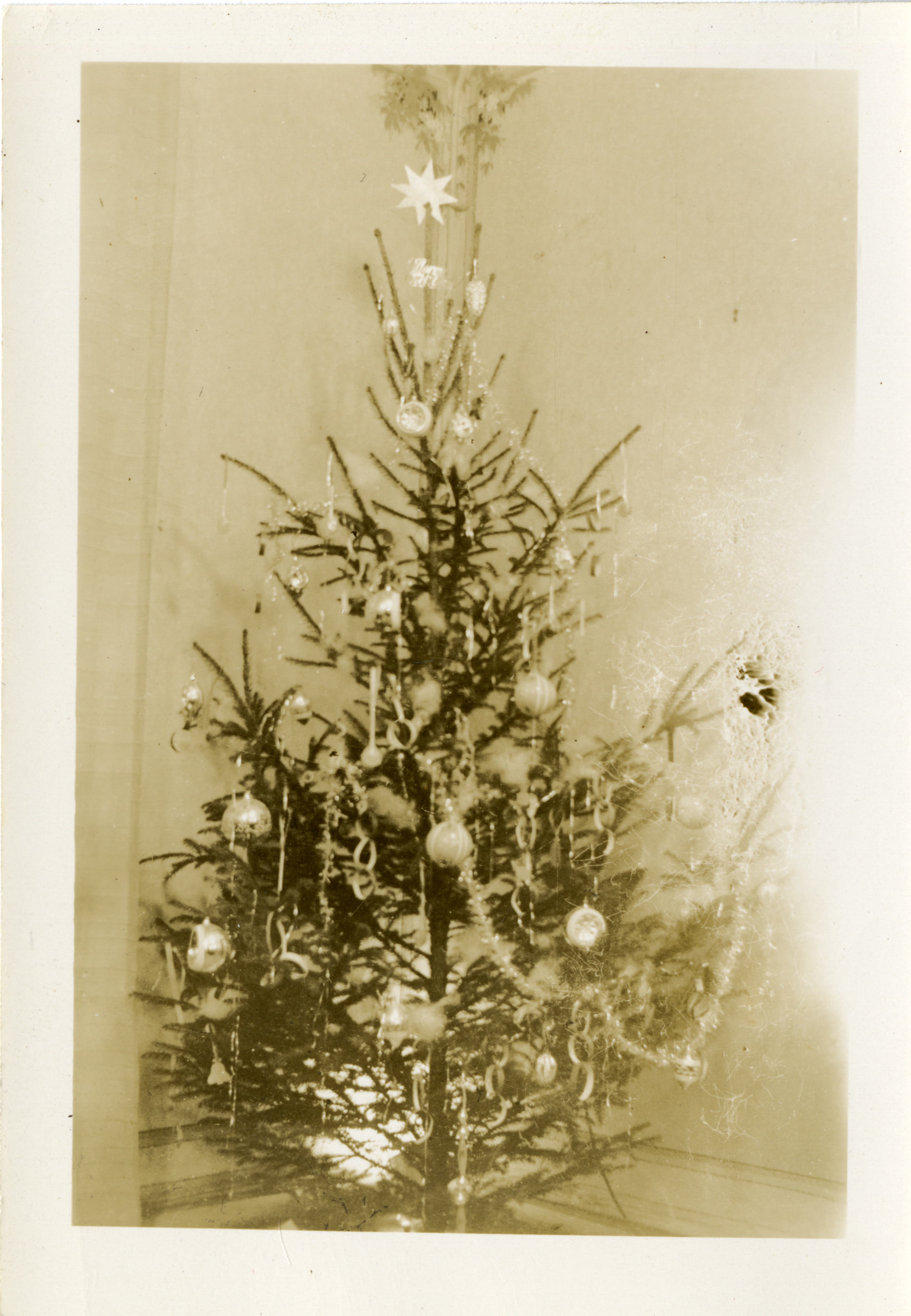 Decorated Christmas tree | The Digital Collections of the National WWII ...