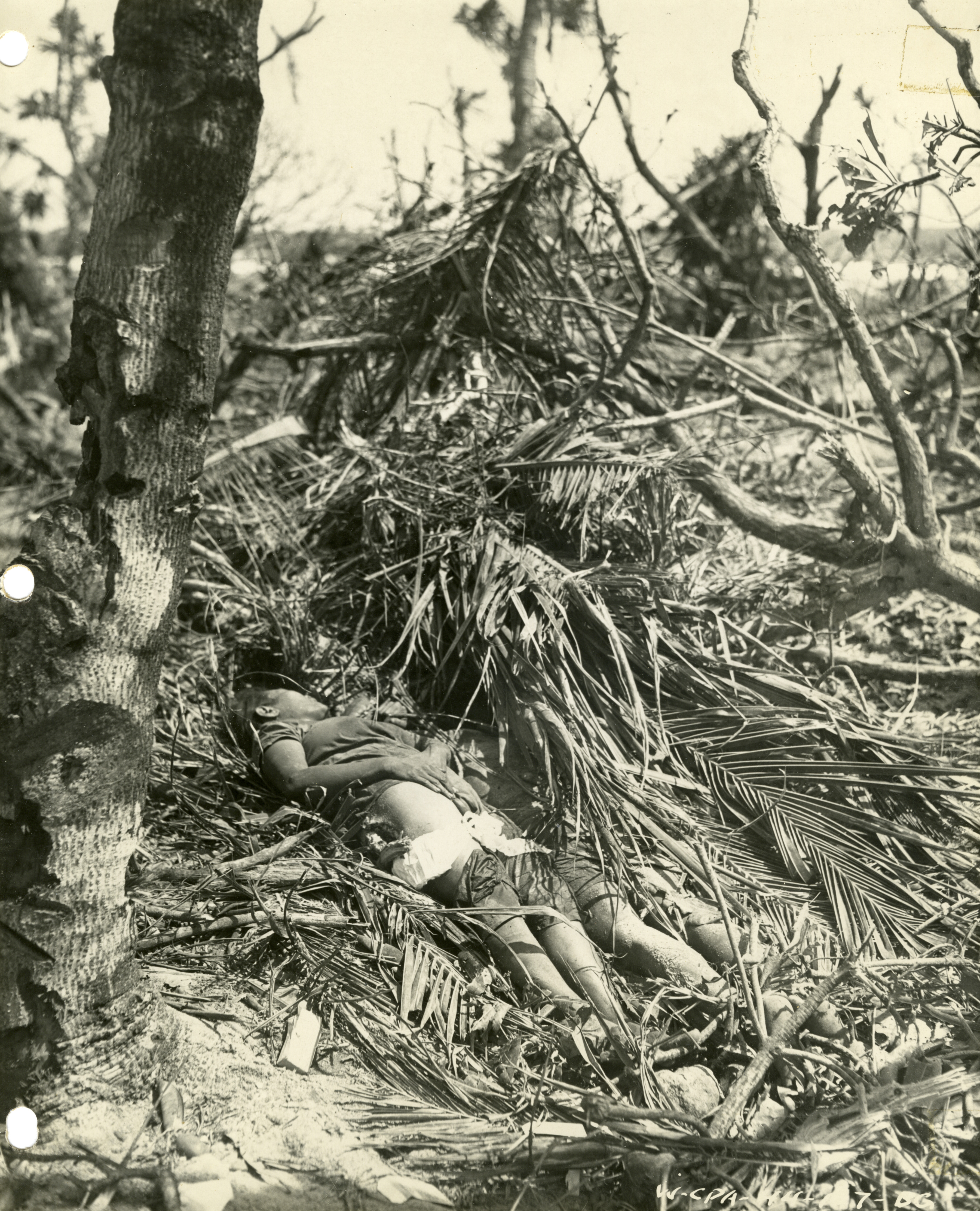 A dead Japanese soldier and possibly Kwajalein civilians under brush ...