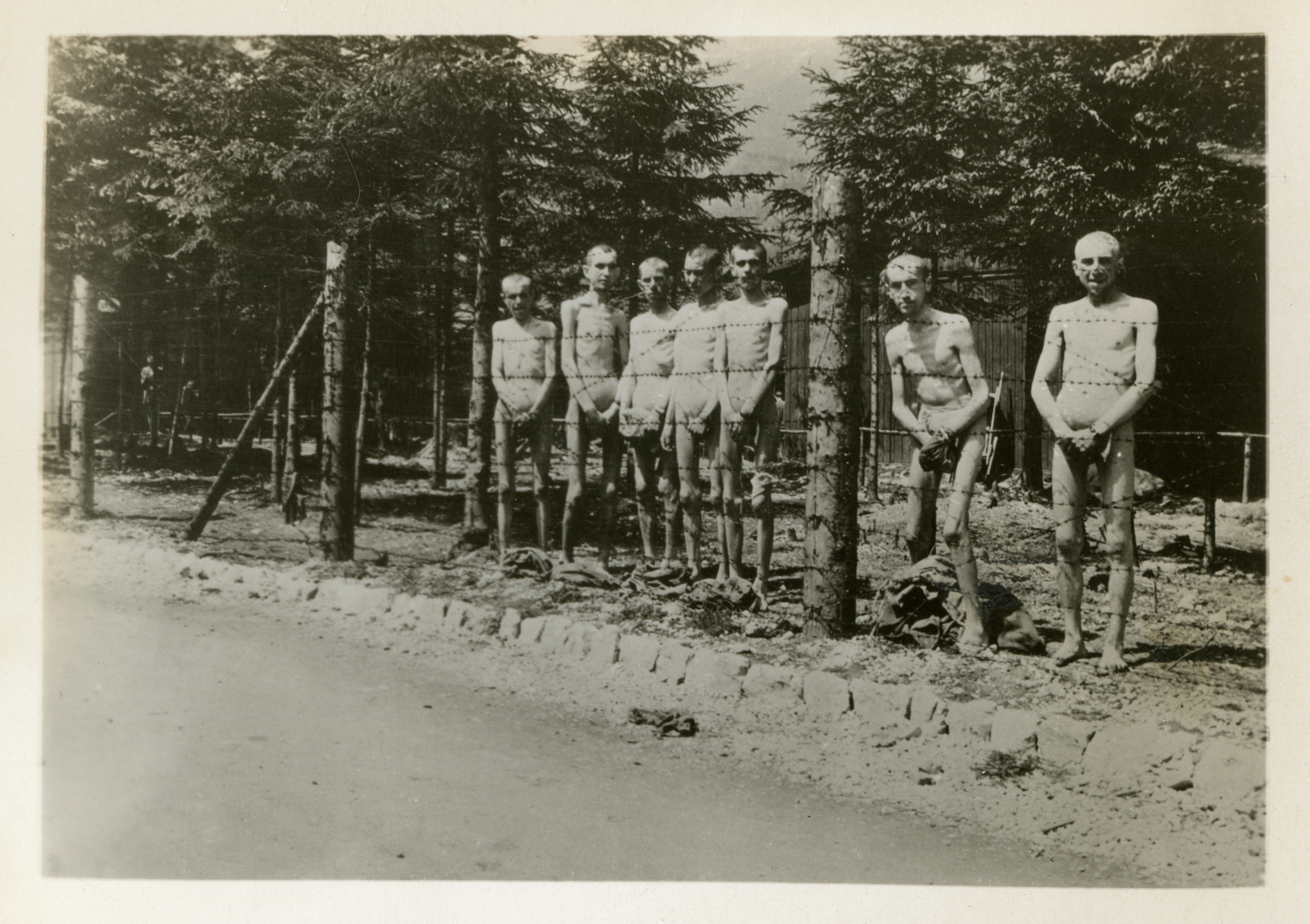 Emaciated prisoners at Dachau concentraction camp, Germany ...