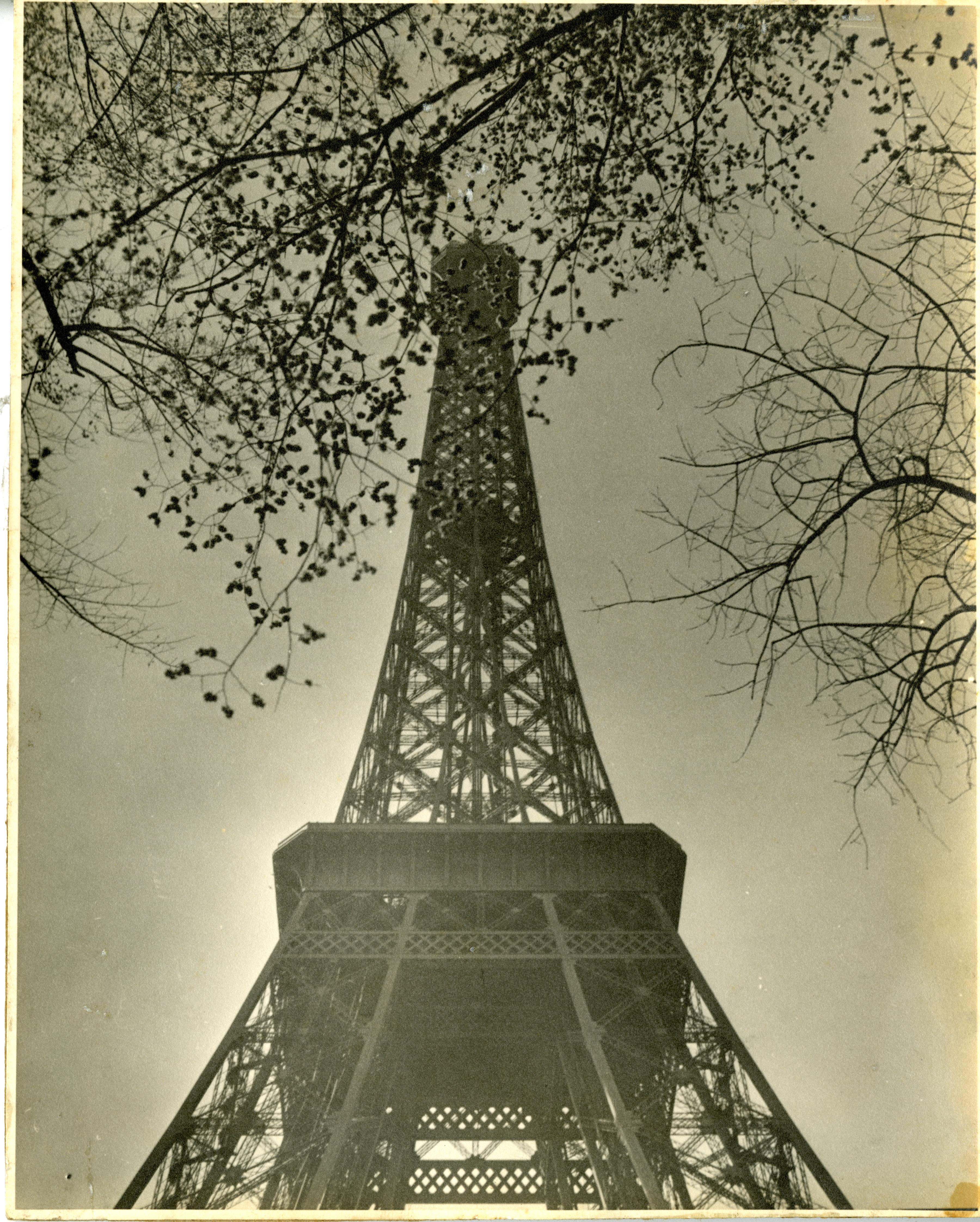 8x10 Print Historic Paris Eifel Tower WWII 1944 #1011940 